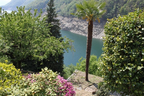 Hotel Al Lago image 28